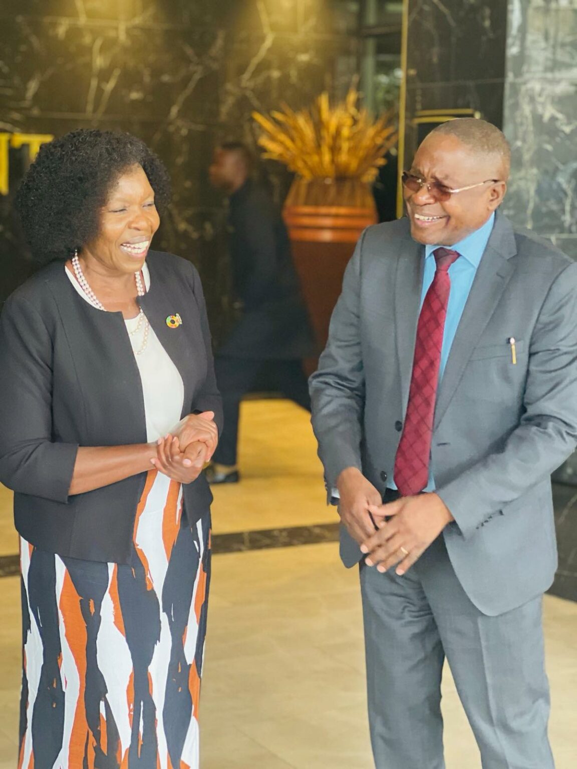 UN RESIDENT COORDINATOR AFFIRMS SUPPORT FOR ZAMBIA’S LEGAL GUIDELINES ON ASSET RECOVERY