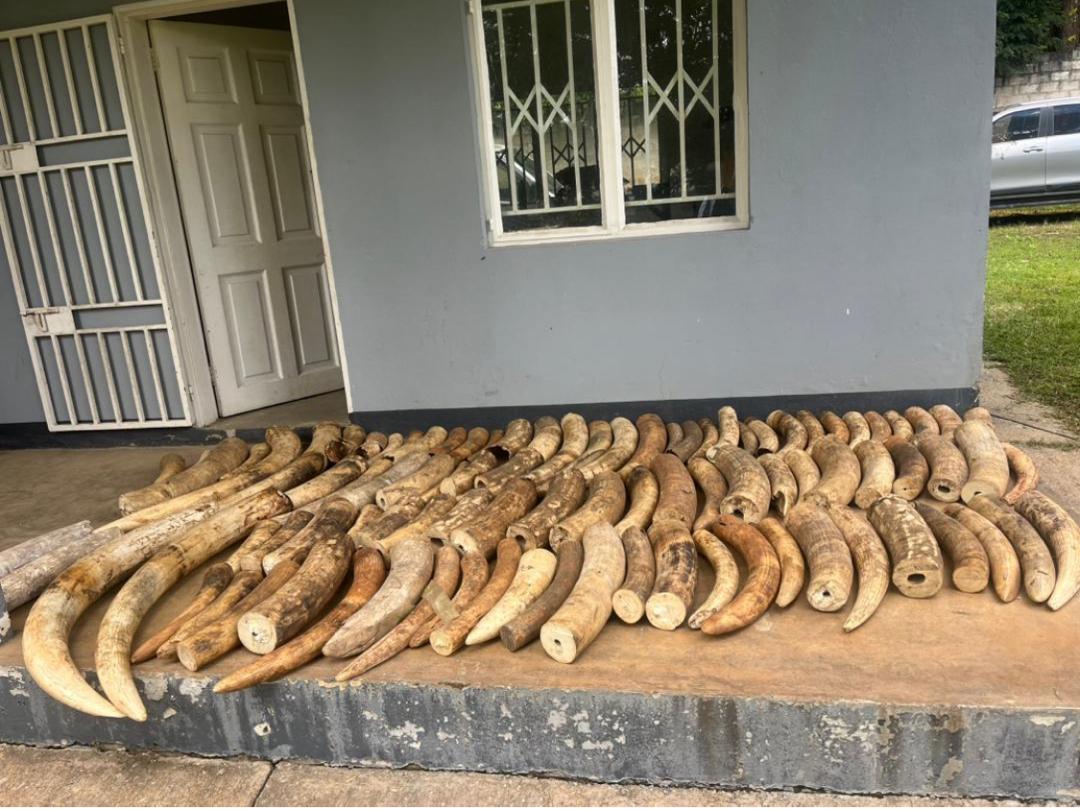 COURT DENIES BAIL IN IVORY POSSESSION CASE